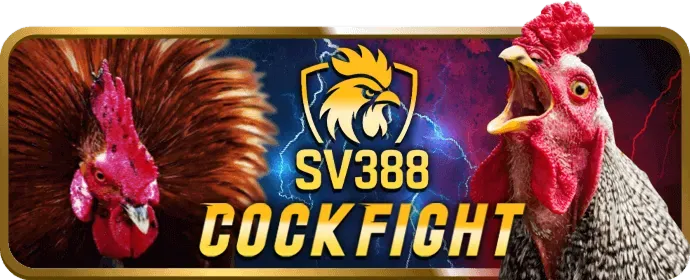 Sic Bo và Dragon Tiger JBO Win